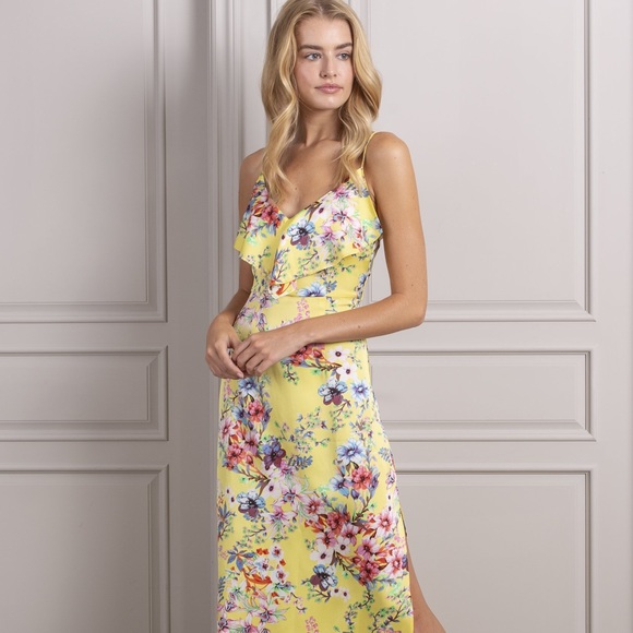 SENLIS Madison Ruffle Sleeveless Maxi Dress NWOT - Picture 2 of 7